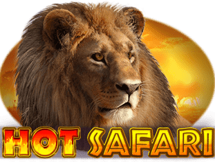 Hot Safari